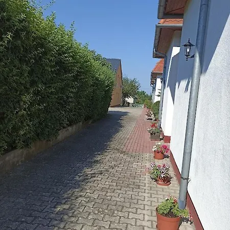 Mókus